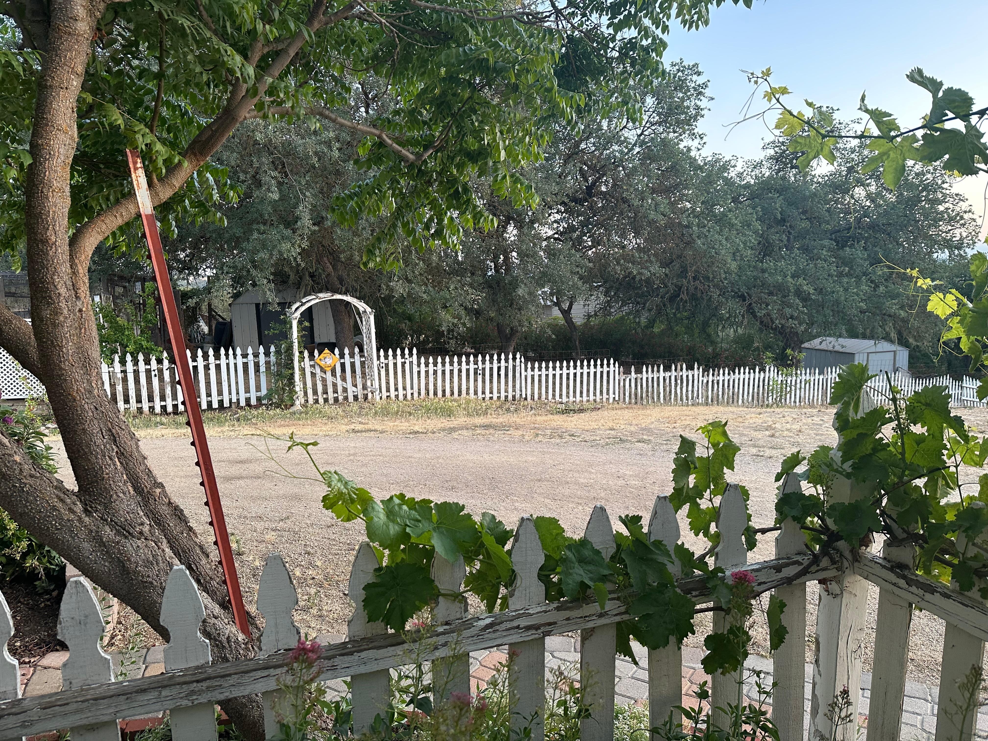 View from the patio