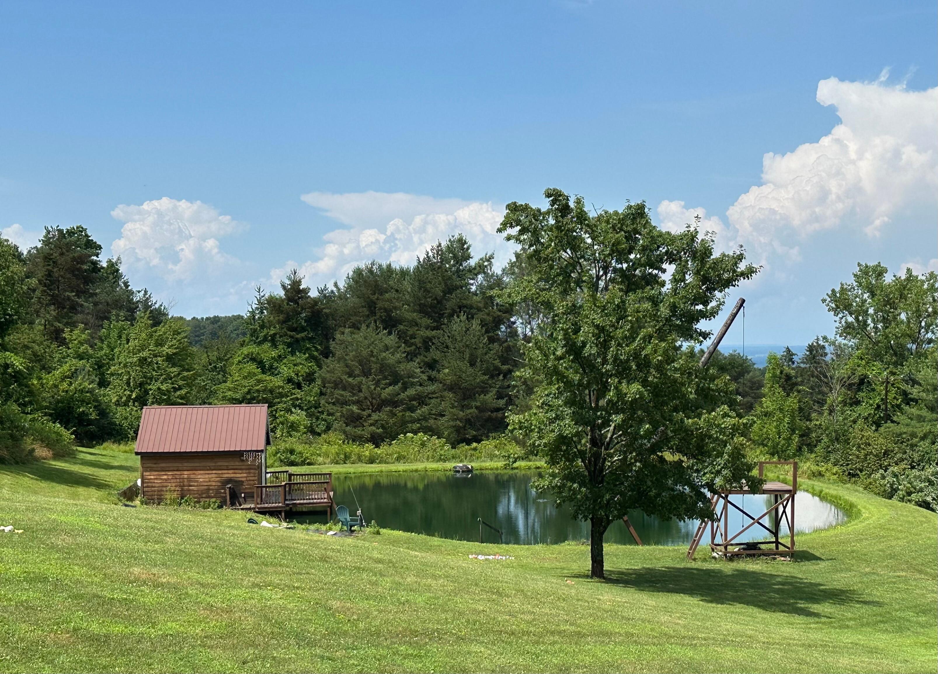 View of the pond from balcony
