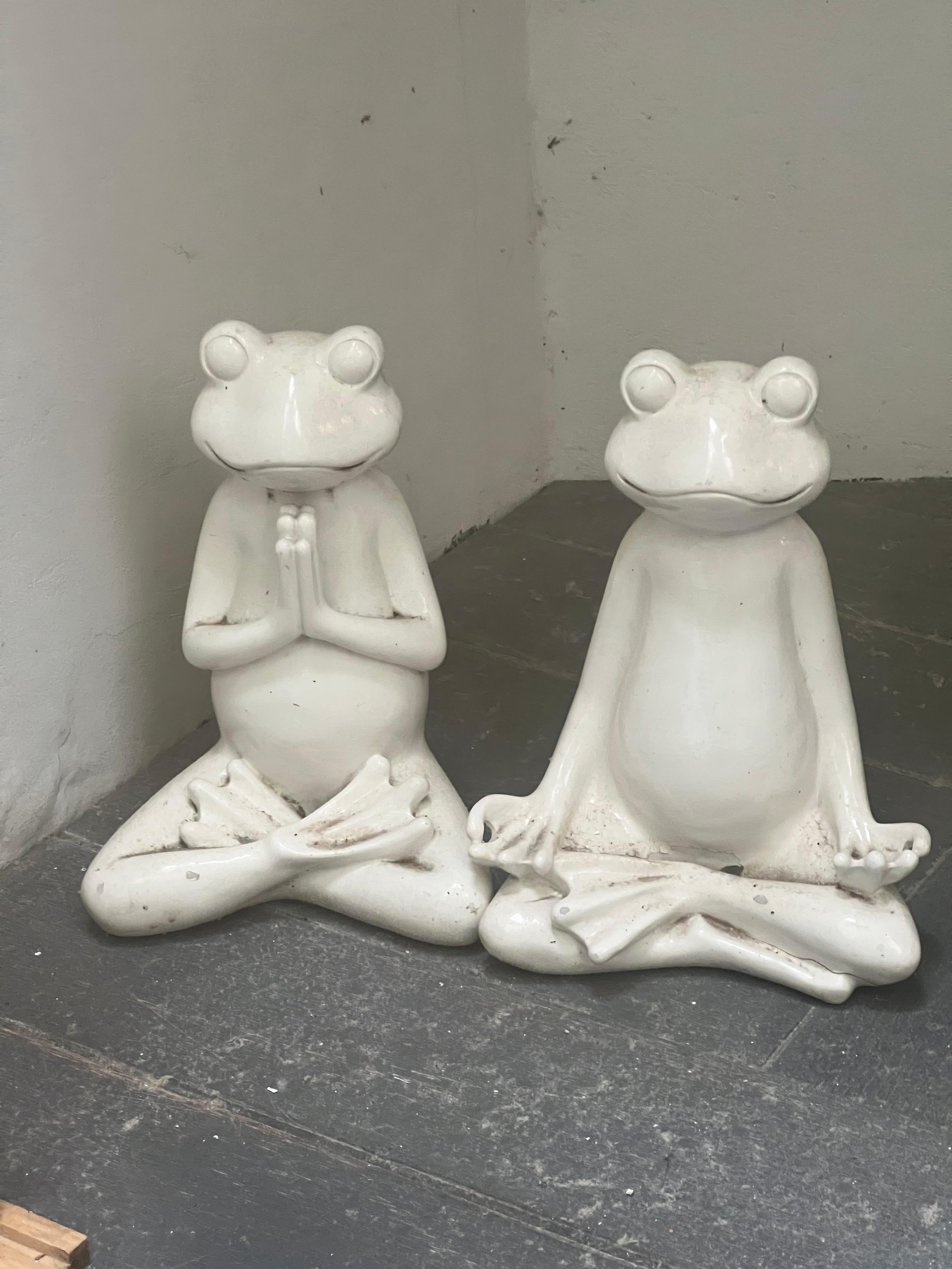 Loved these frogs 