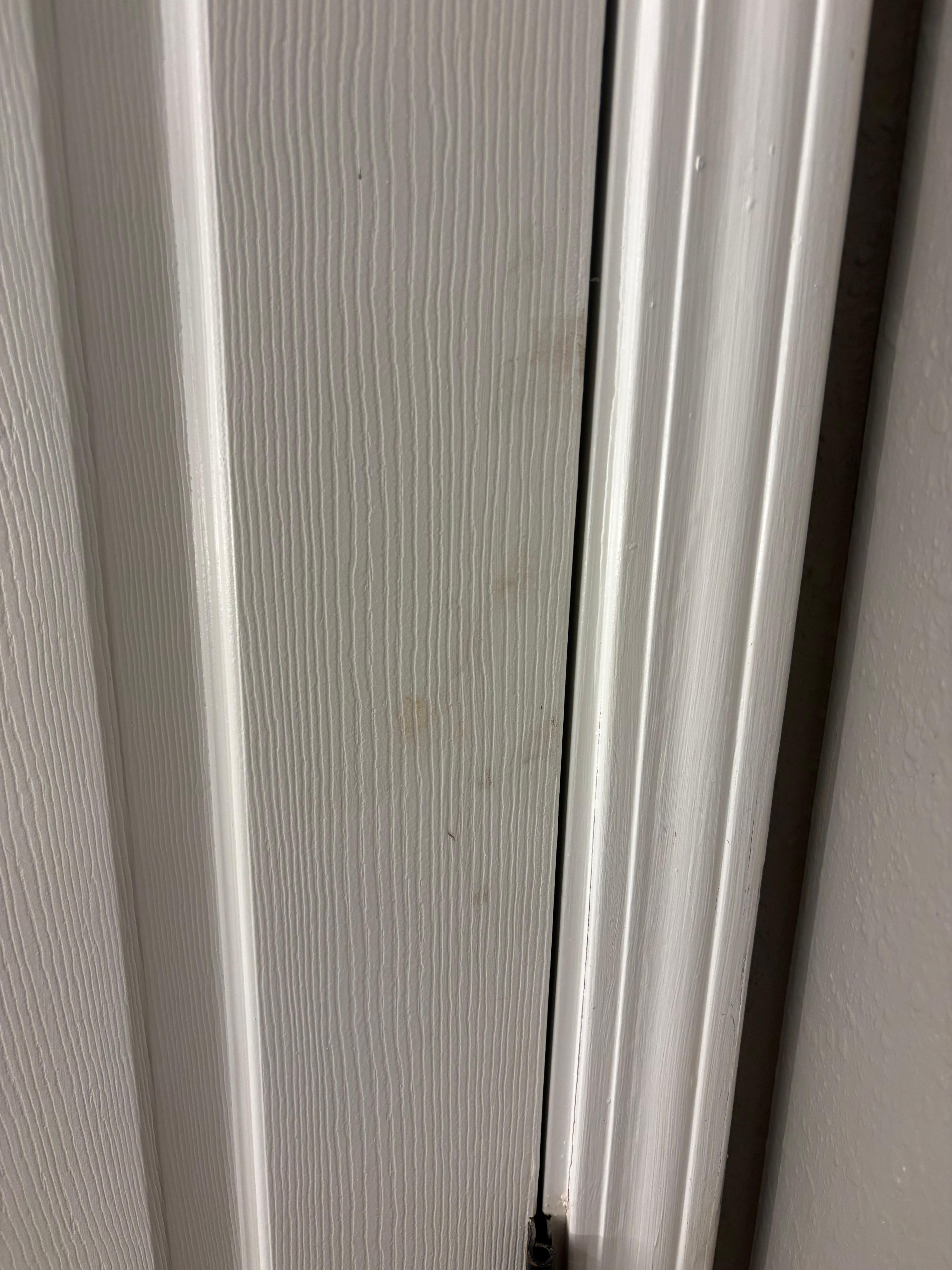 Bathroom Door