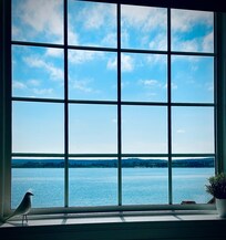 View from the kitchen table!