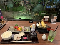 Good Japanese offerings at the restaurant.