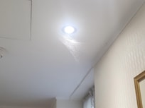 toile d'araignée et araignées au plafond