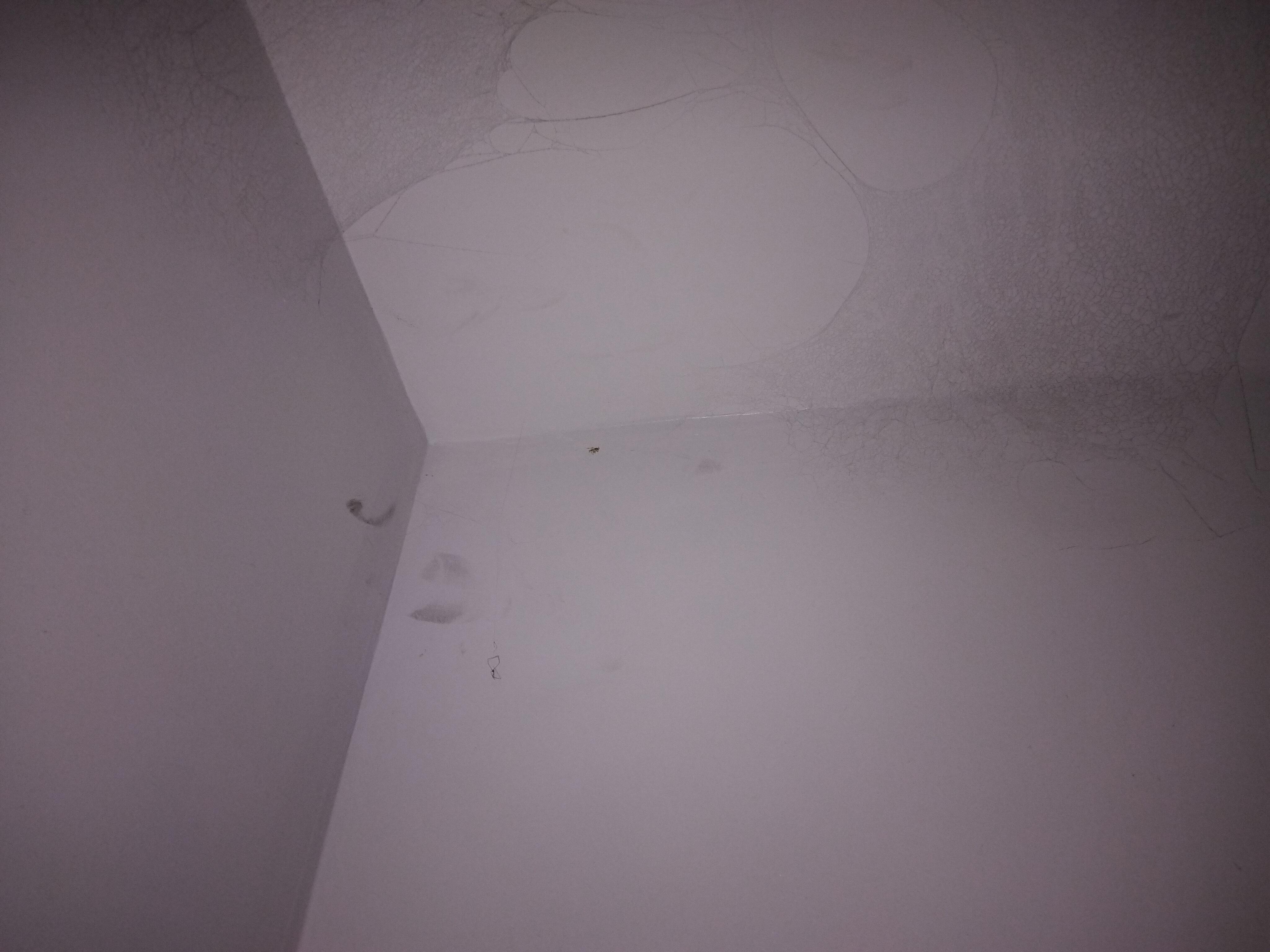 Telarañas habitación 