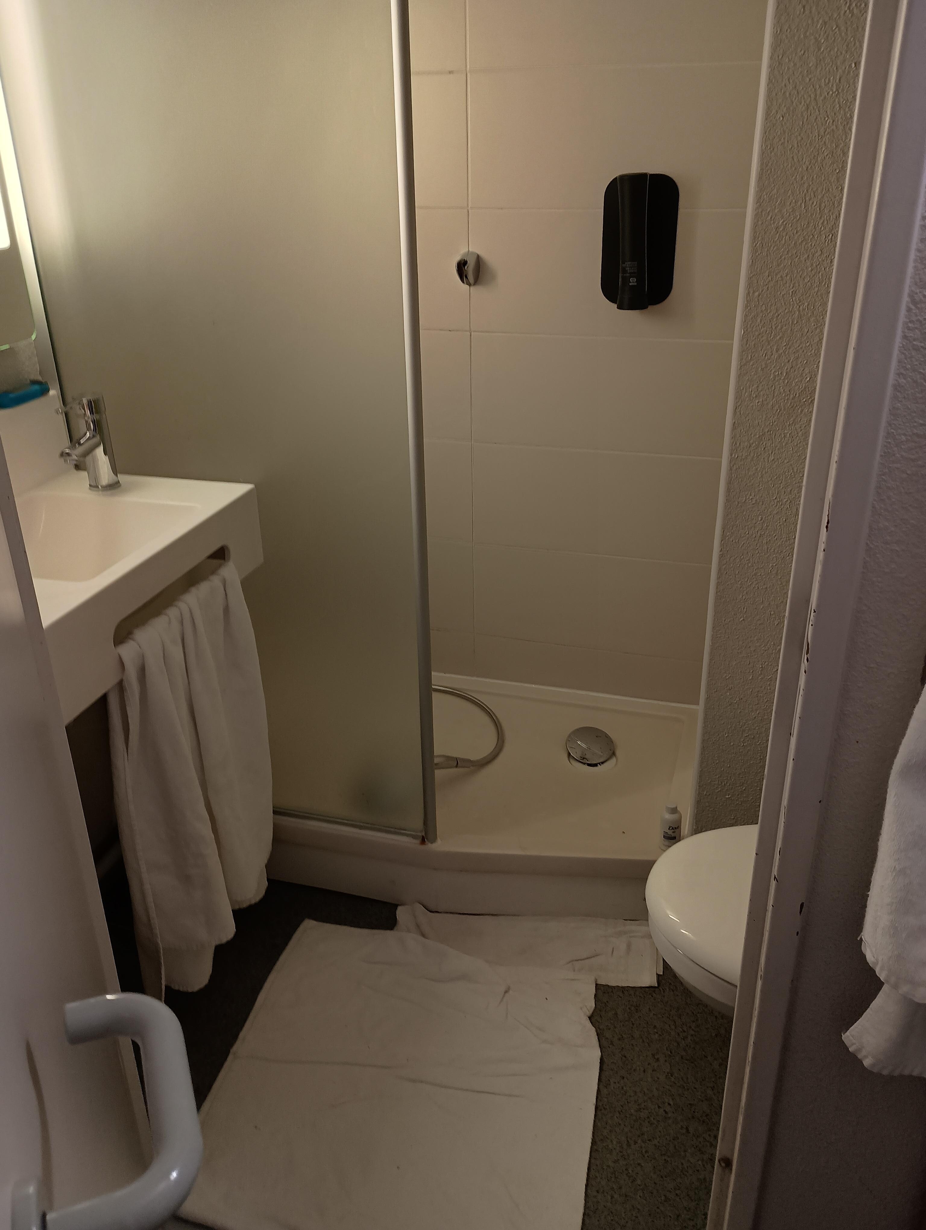 Bathroom in family room