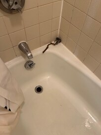 Drain not in tub