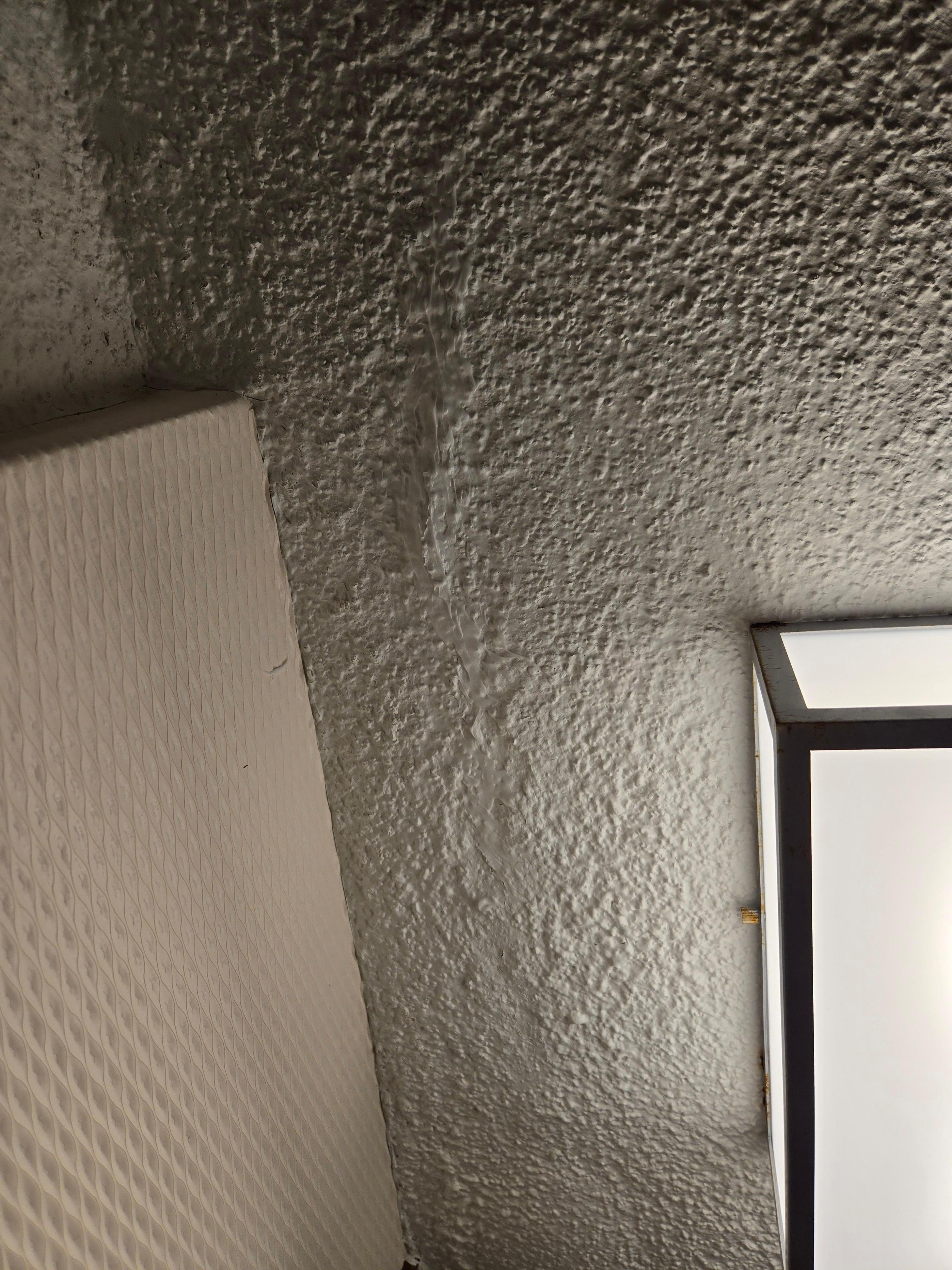 Water damage covered up without drying