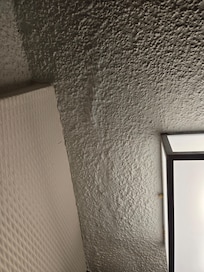 Water damage covered up without drying