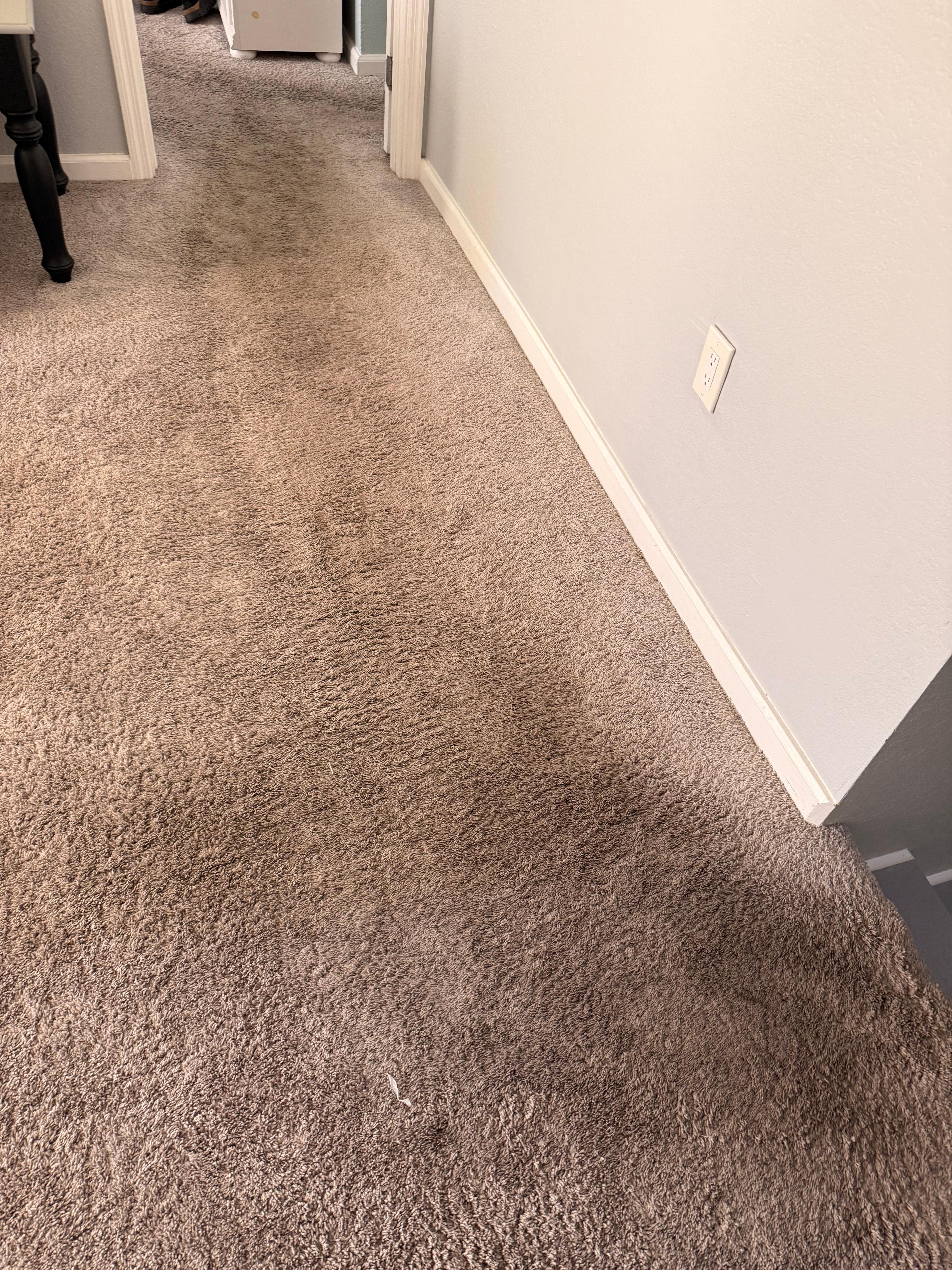 The carpet upstairs. 