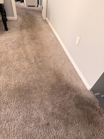 The carpet upstairs.