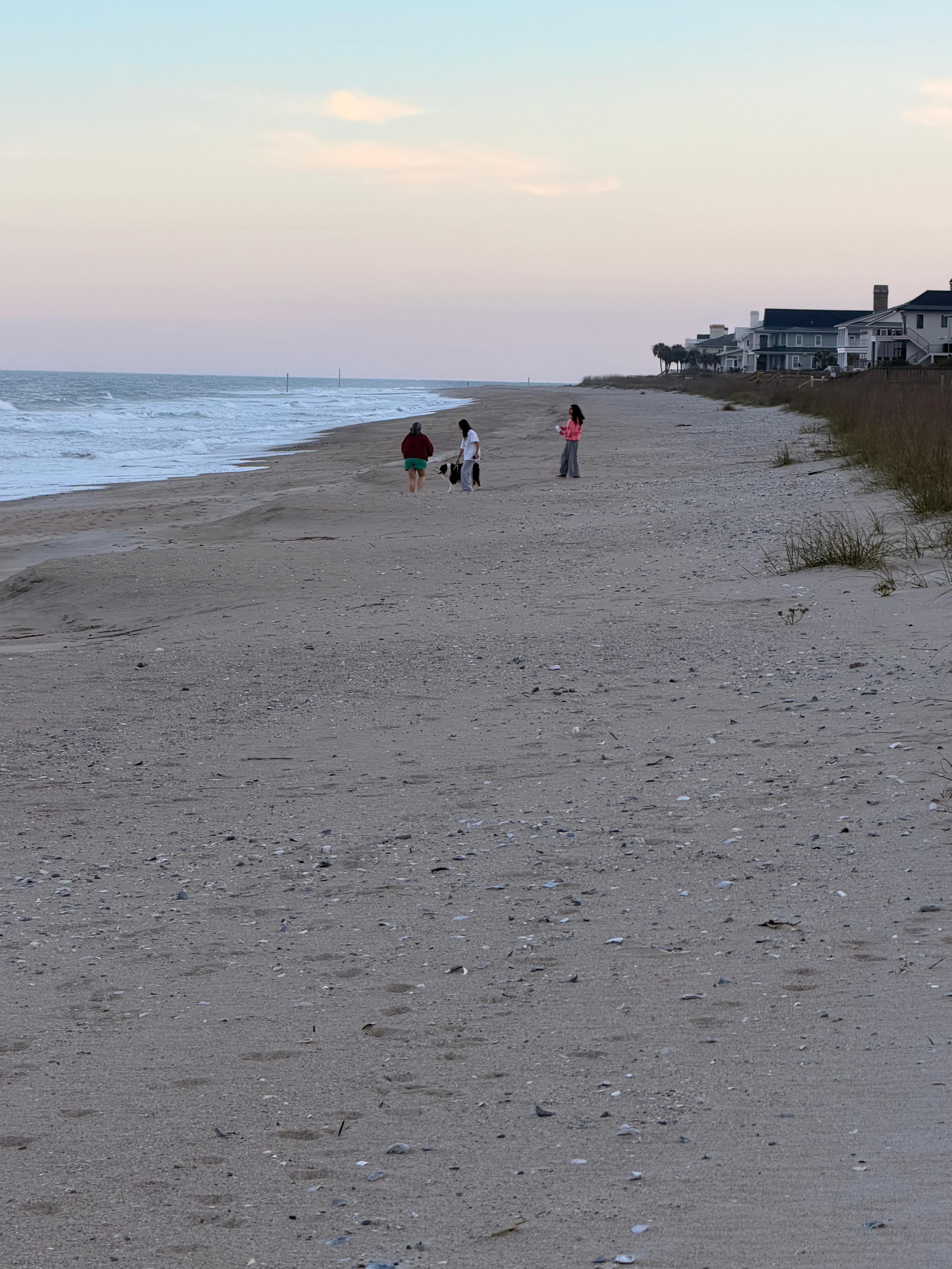 Amazing beach with great seashells. 