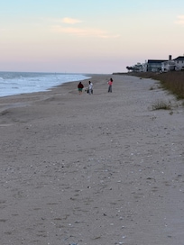 Amazing beach with great seashells.