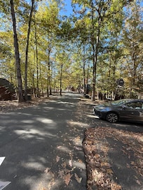View of the pathway near the cabins with all the fall leaves.