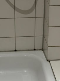 Svart mögel  dusch