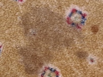 Stains on carpet