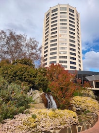 Garden at the boardwalk