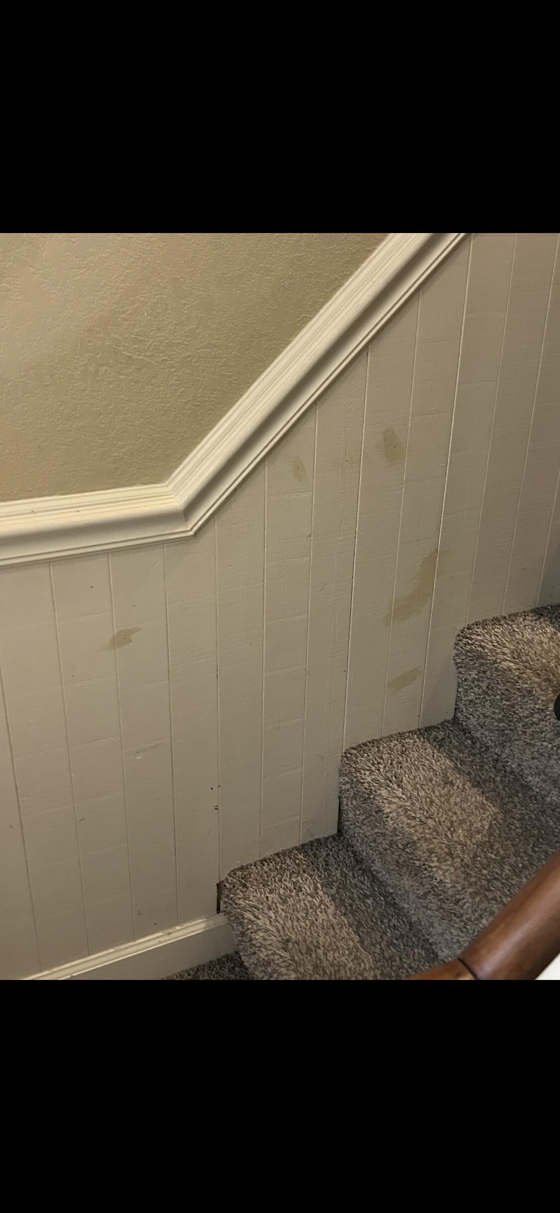 Dirt on wall