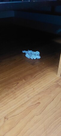 Tissues under bed
