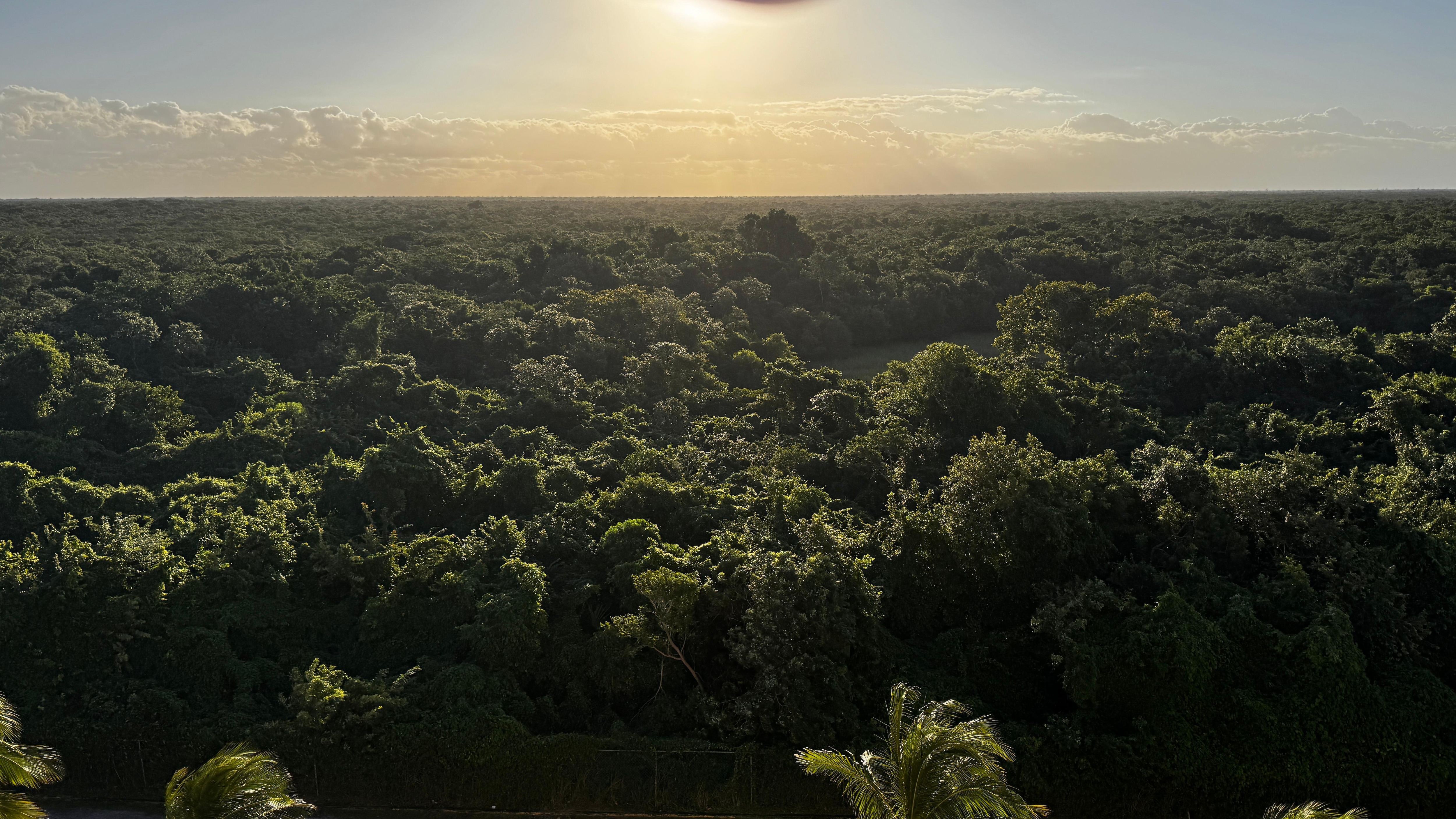 View east from the upper floors. 