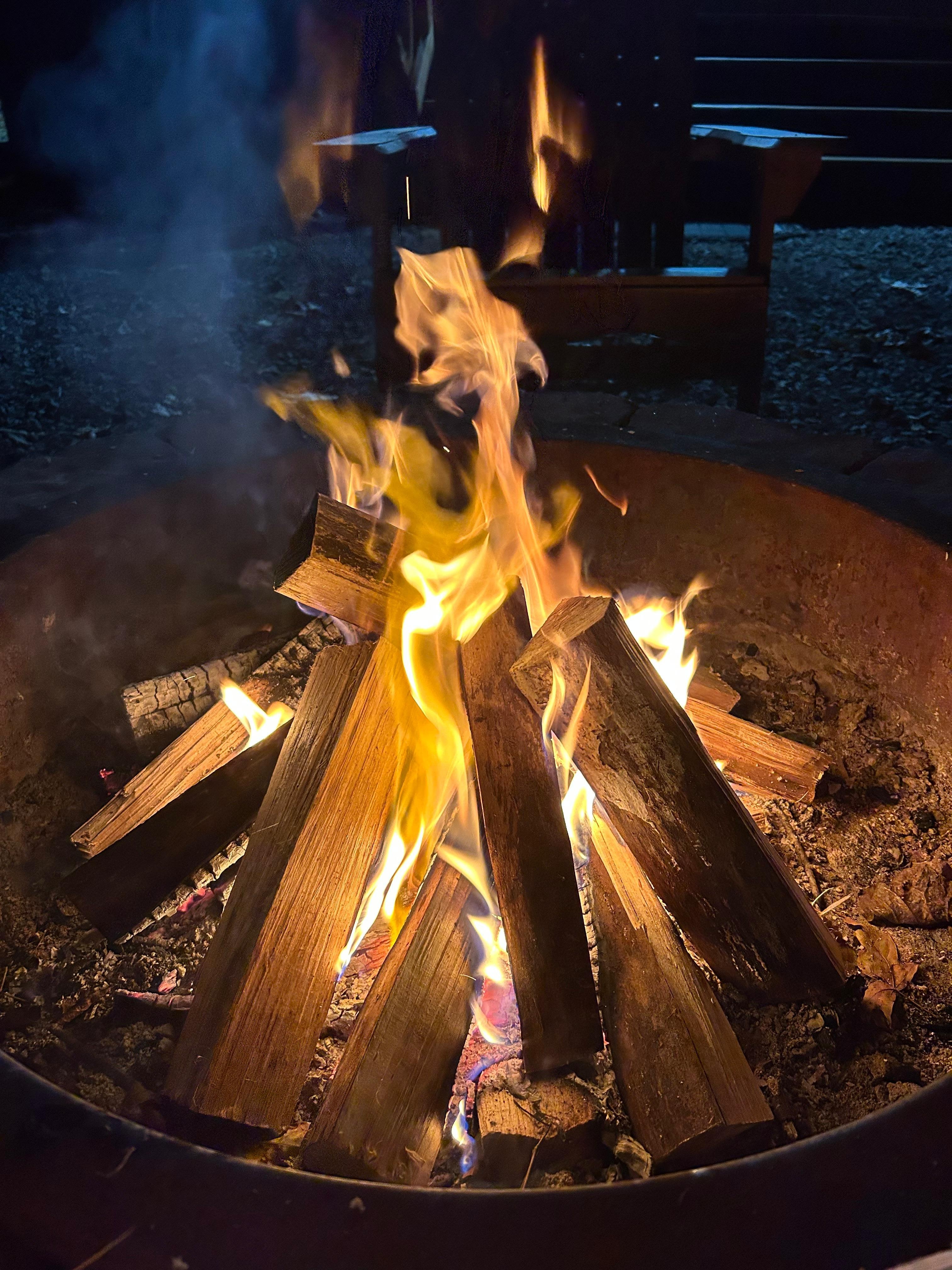 Sugar Bear Cabin. Firepit