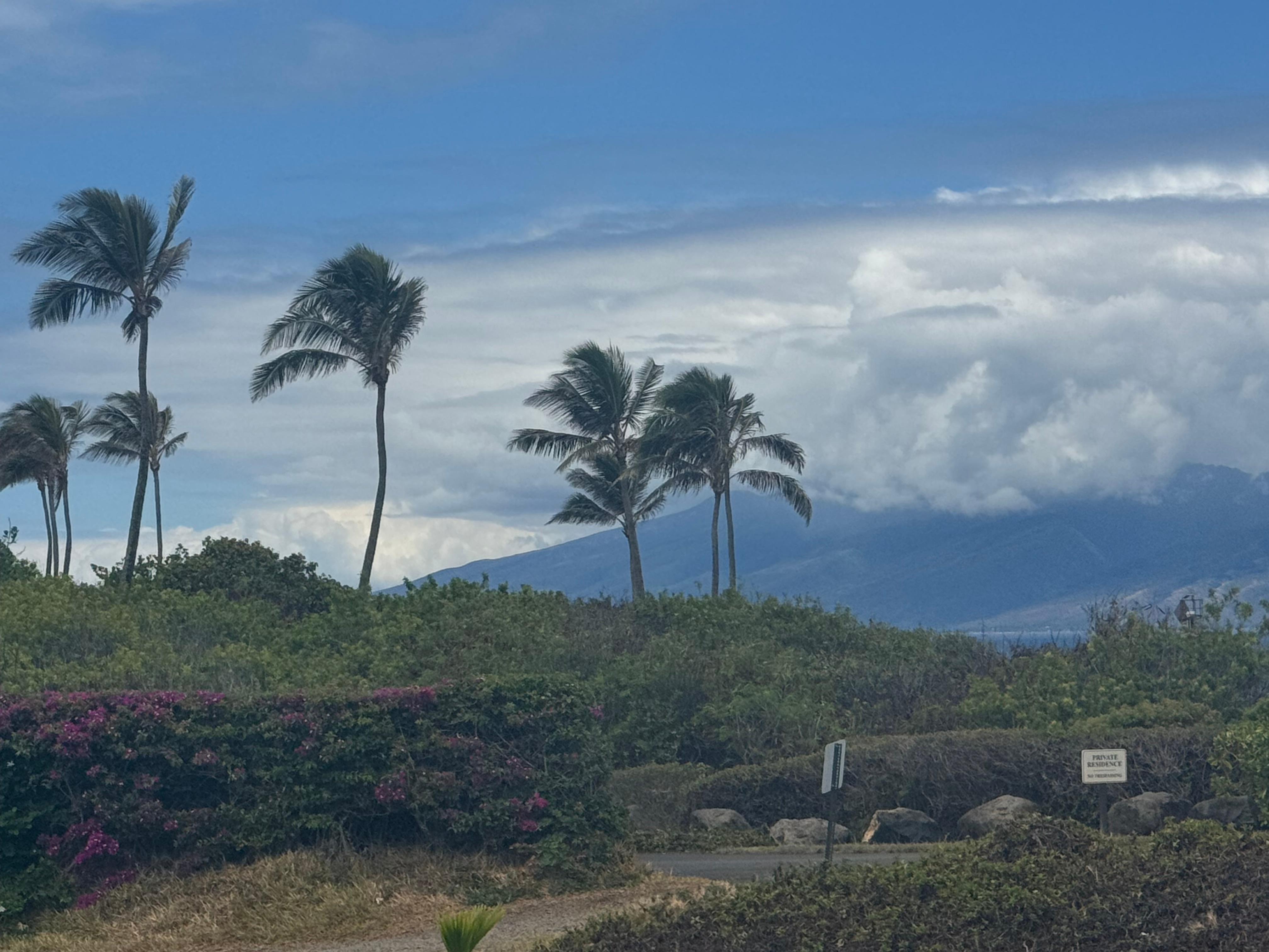 Still looking out the back view to the left. Path to the closest beach and there is a shop on the beach to rent beach and snorkeling equipment.
