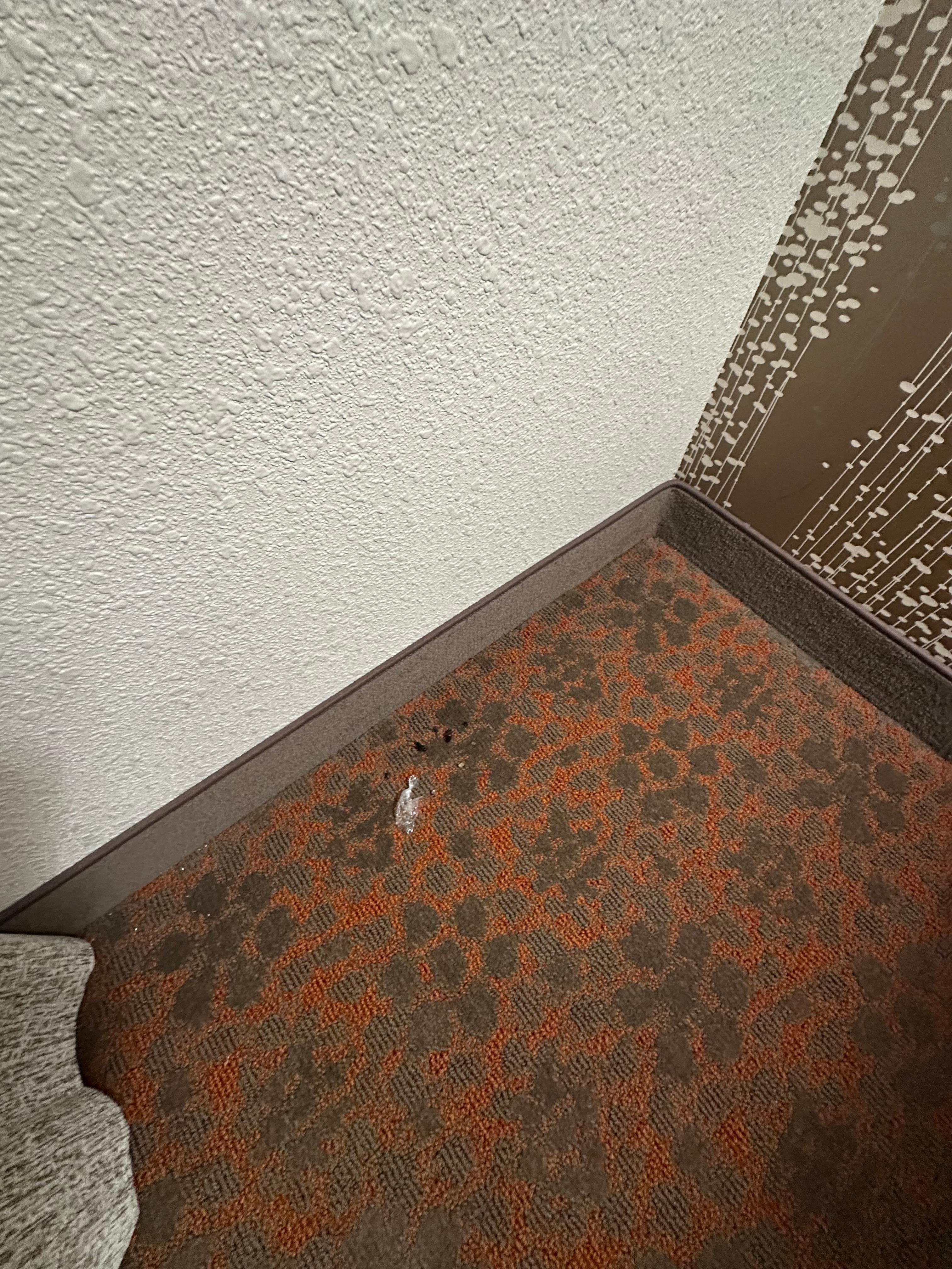 Clearly not vacuumed 