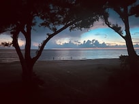 After the sunset you can really see the 2 trees and then the beautiful view from the balcony