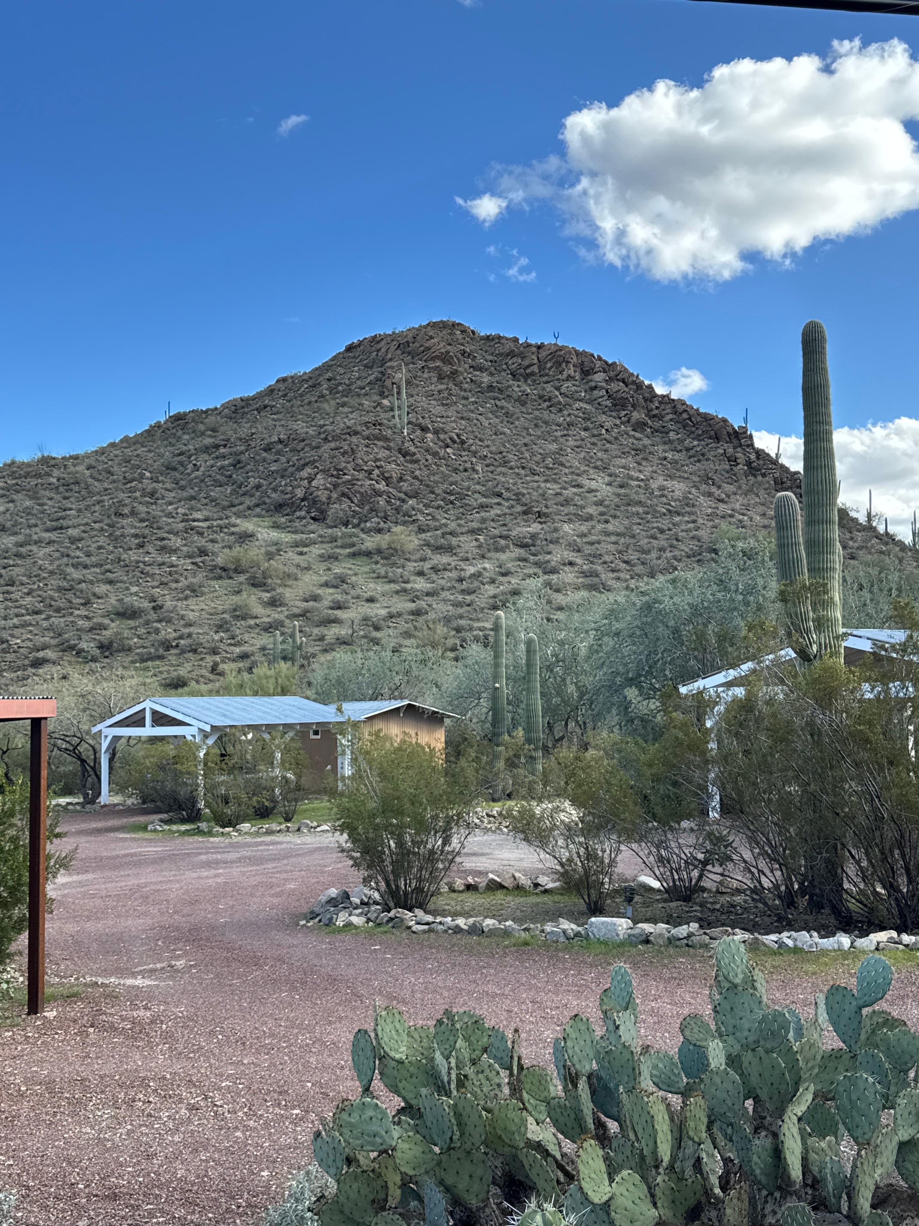 View from front porch 