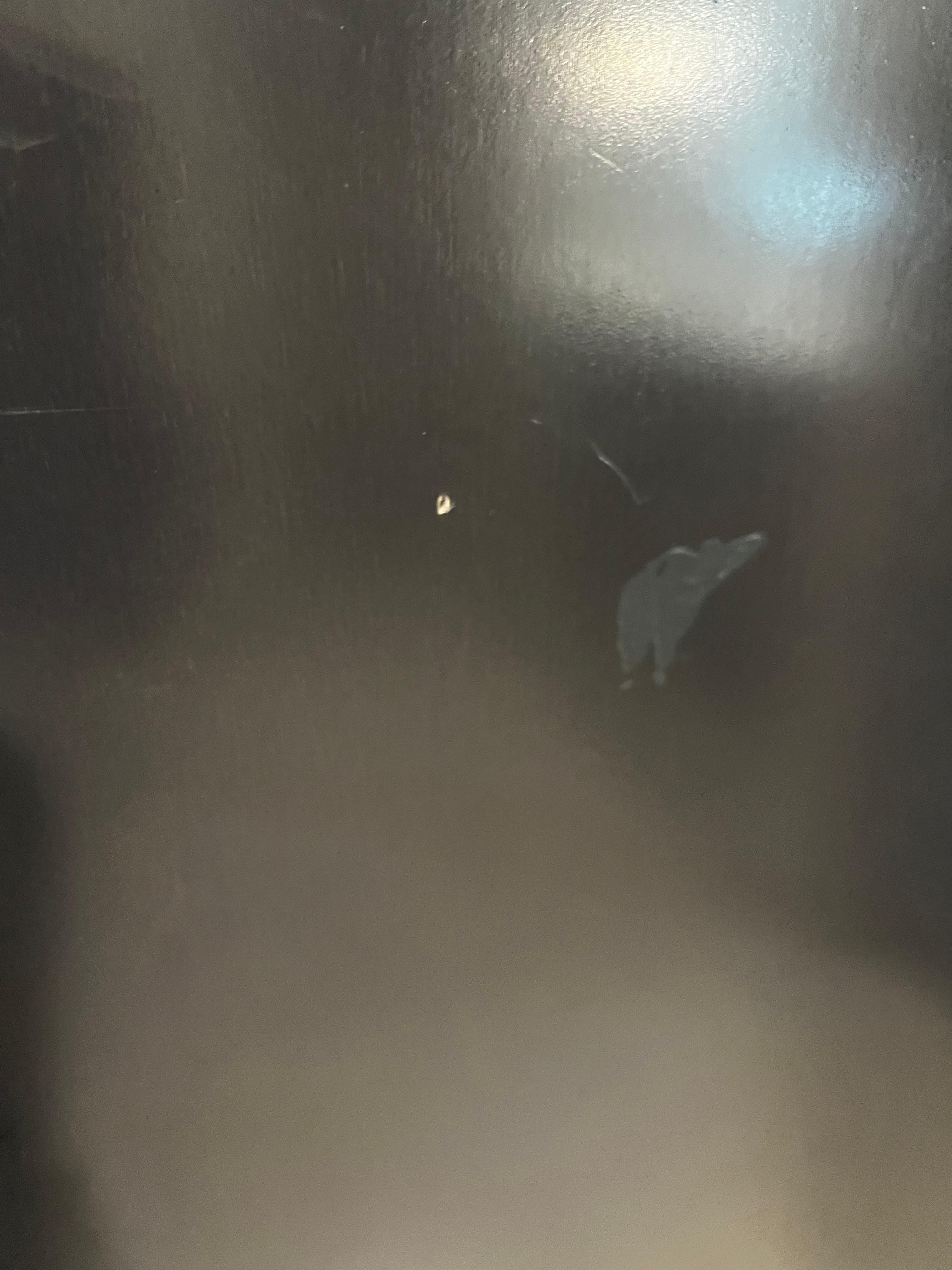 Greasy smudges on the front door of the room