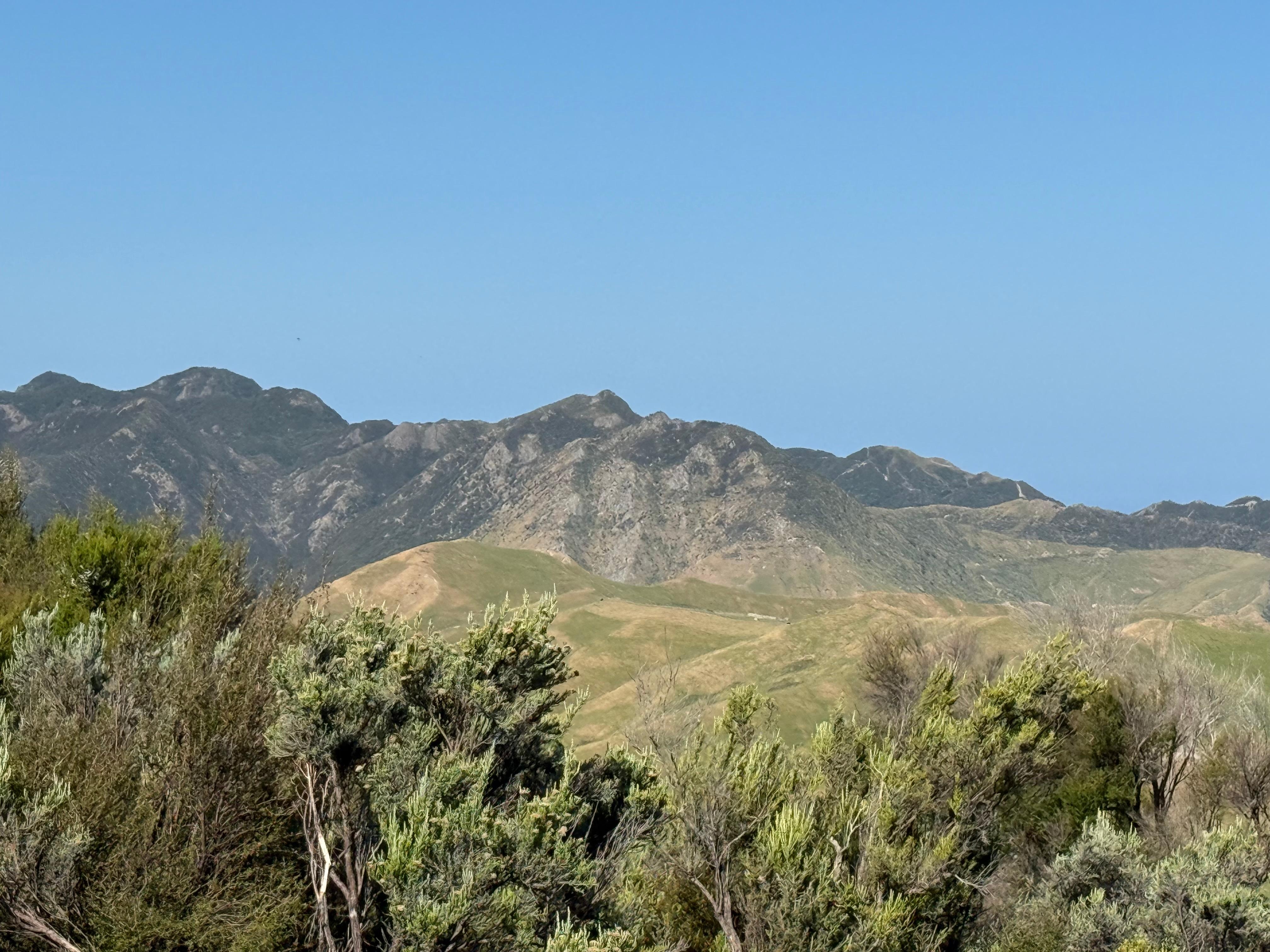 Bush walk on property 