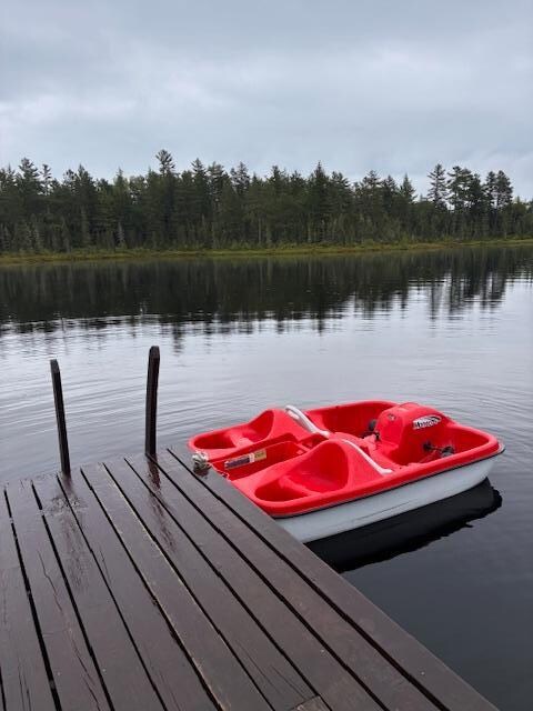 paddle boats and kayaks are free to use