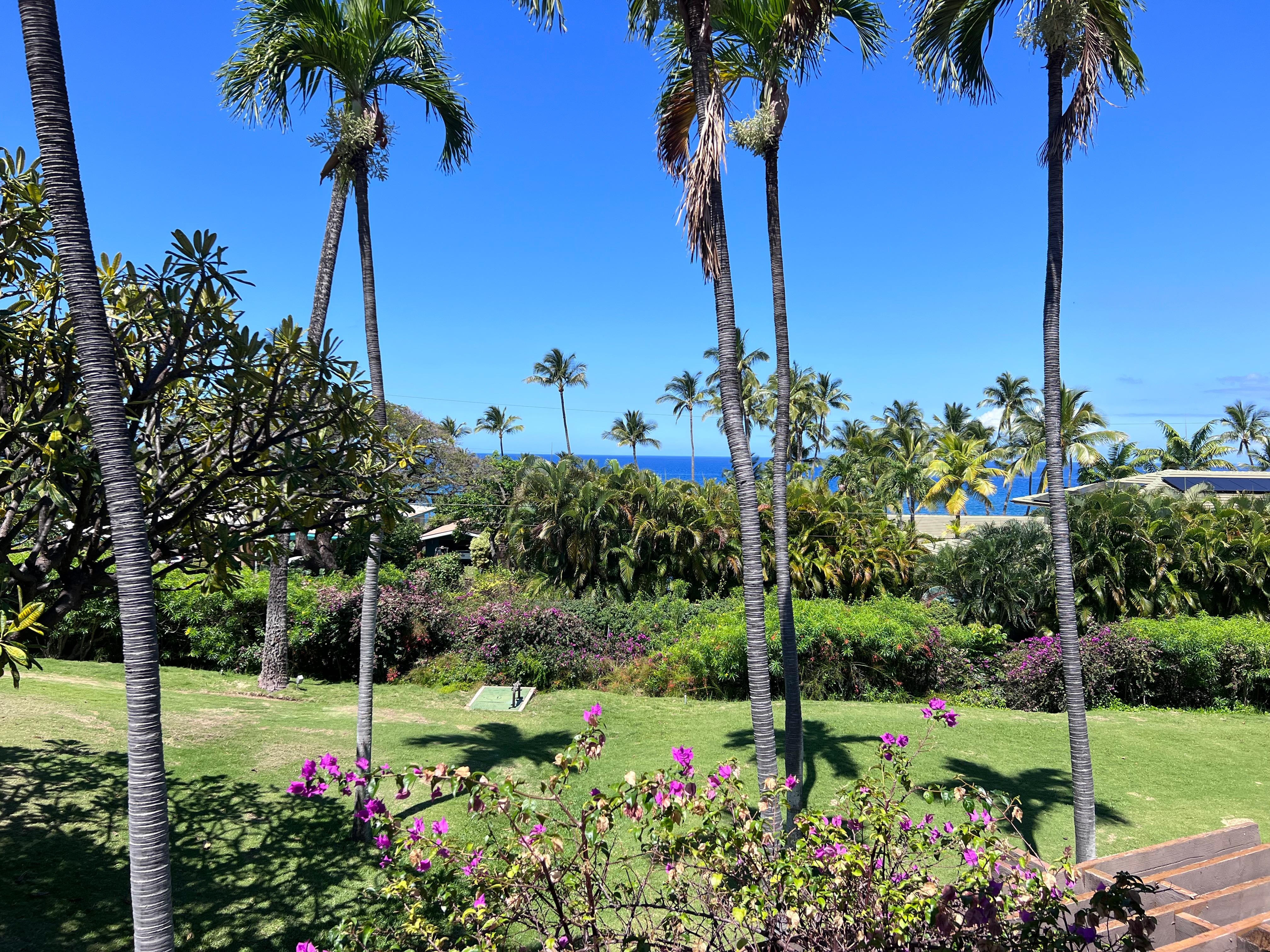 View from Lanai during day