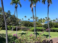 View from Lanai during day