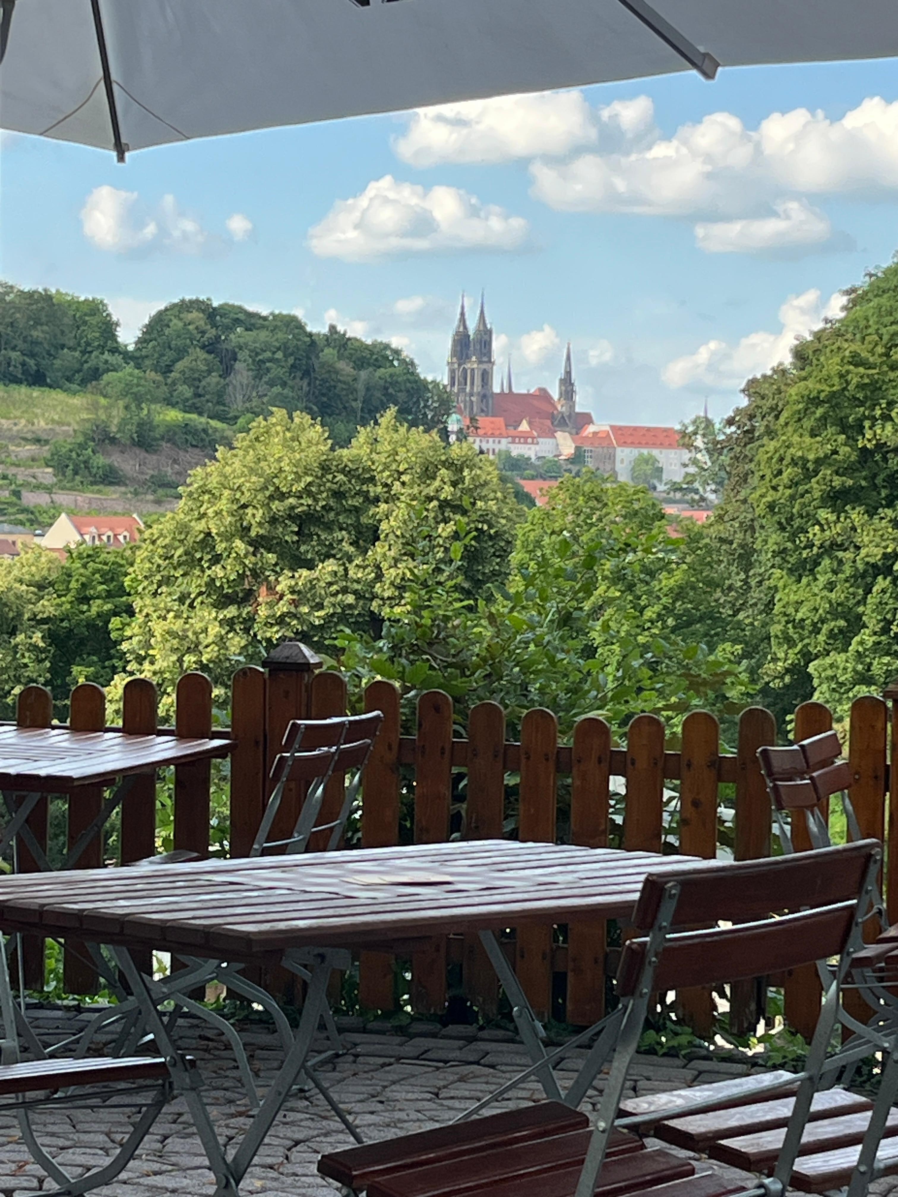 View from the patio