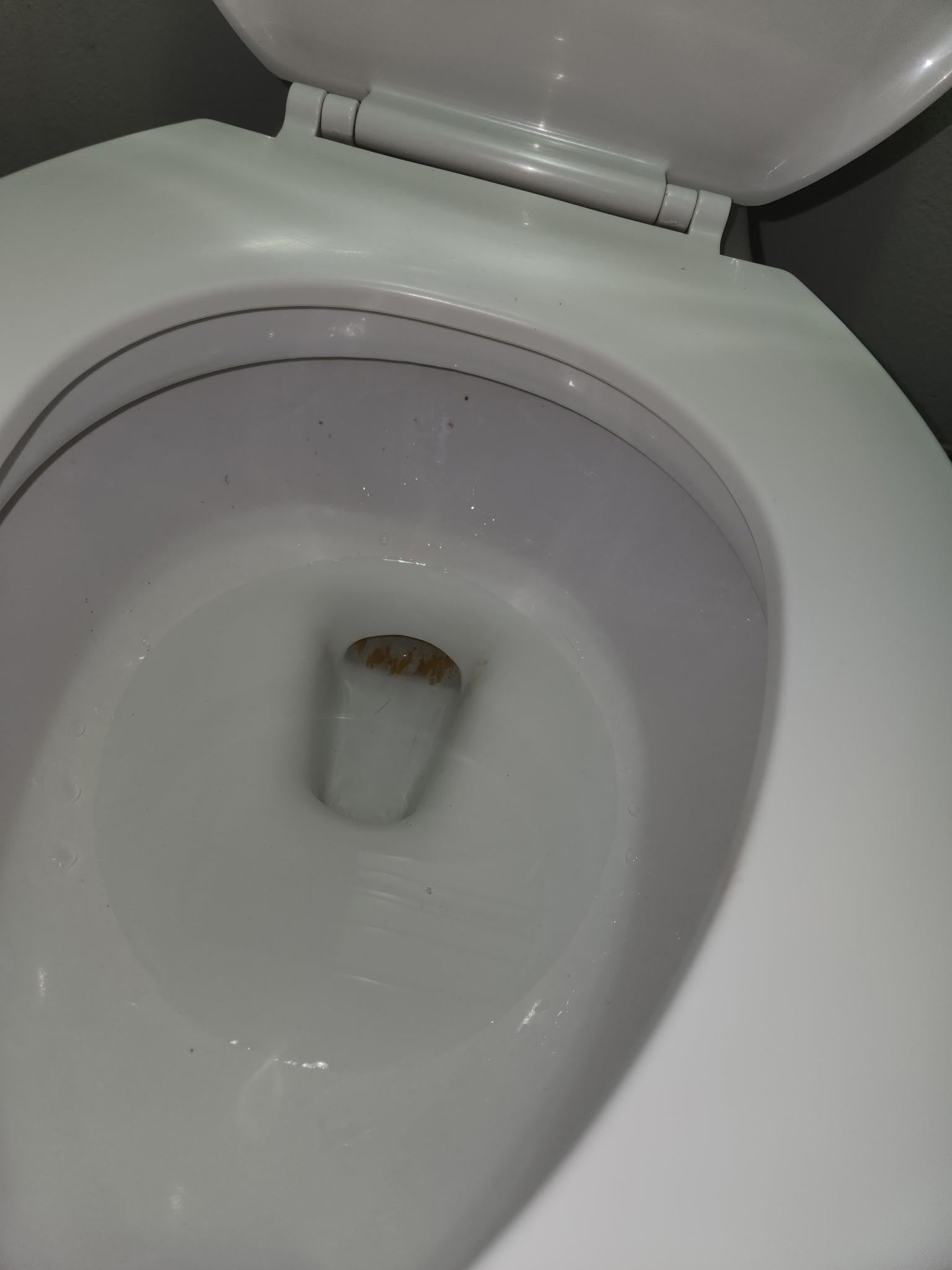 Shit marks in the toilet