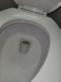 Shit marks in the toilet