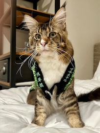 イチホテル浅草橋浅草橋さんのハッピを着て嬉しそう