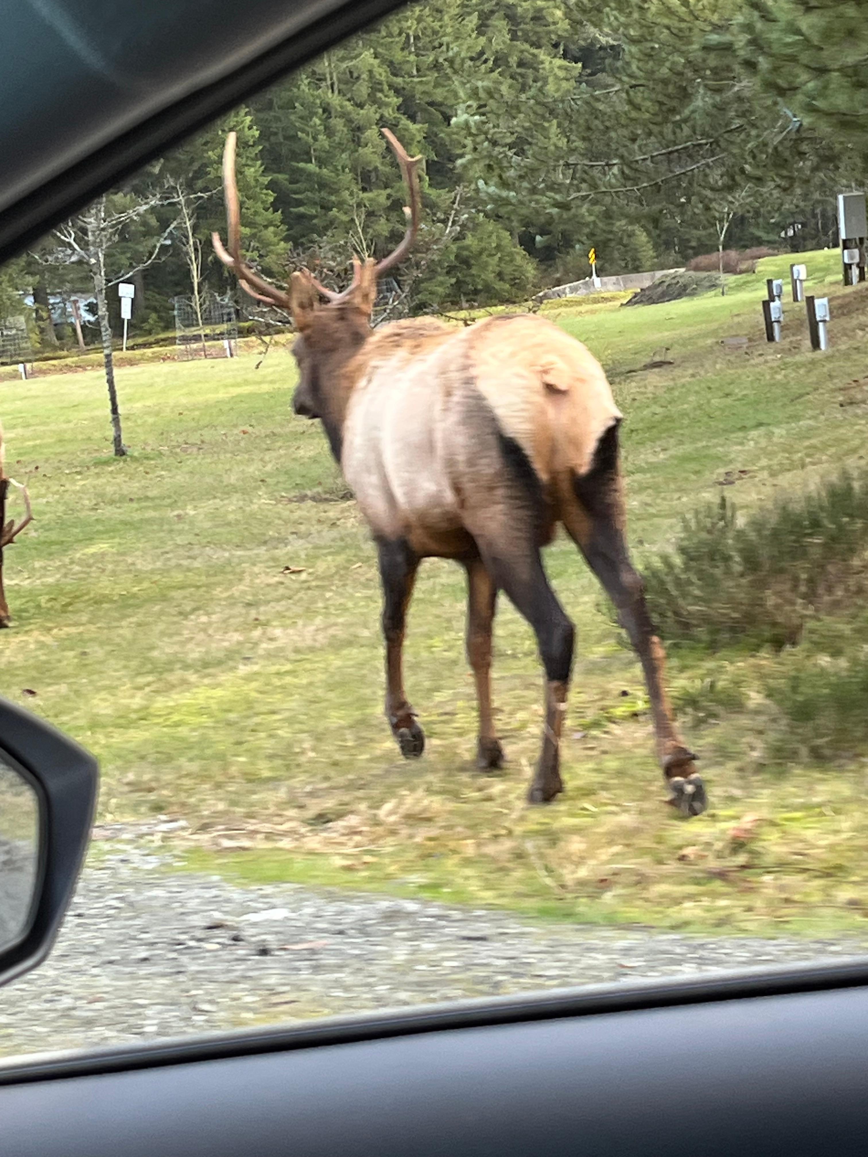 2 minutes walk from hotel. 