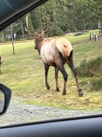 2 minutes walk from hotel.