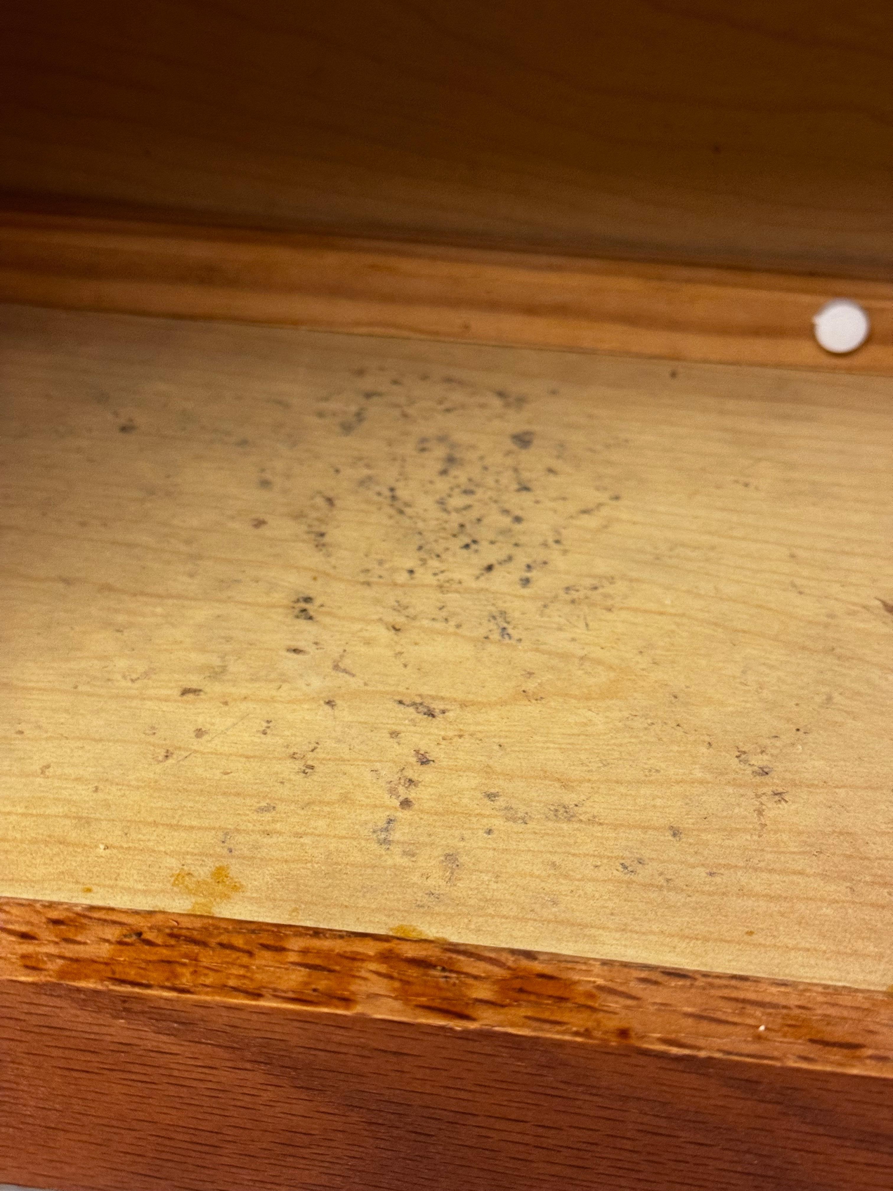 Mold in the cabinets 