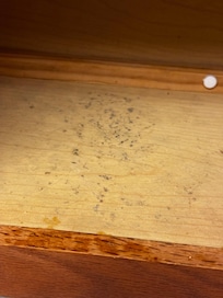 Mold in the cabinets
