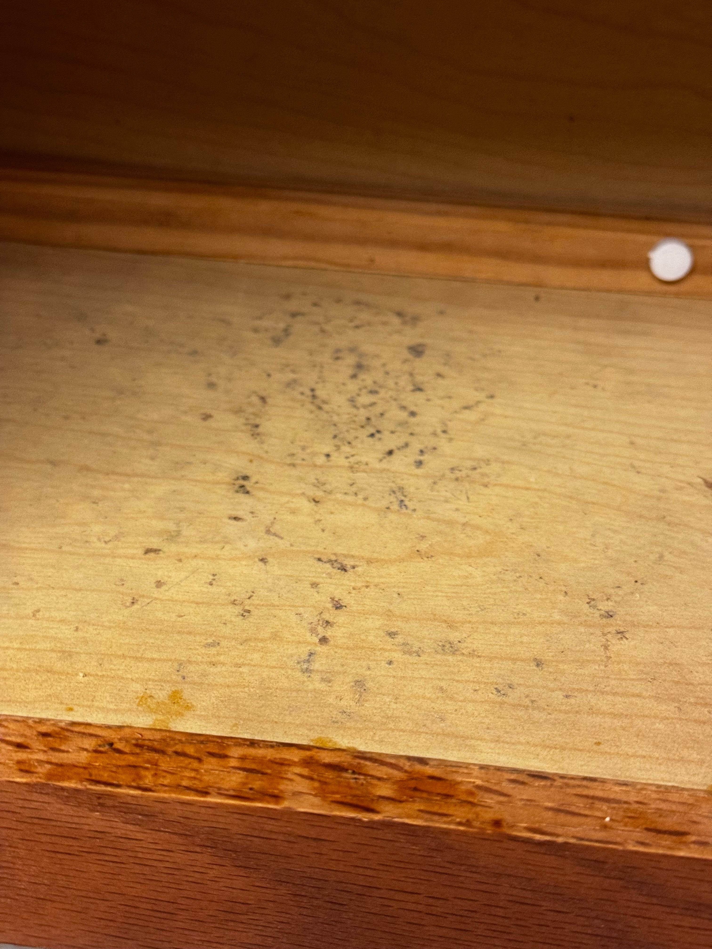 Mold in the cabinets 