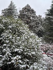 First day of snowfall