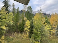 View from living room