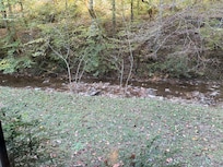 This is how close the cabin is from the creek!
