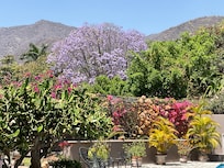 The view of the yard from the cadita