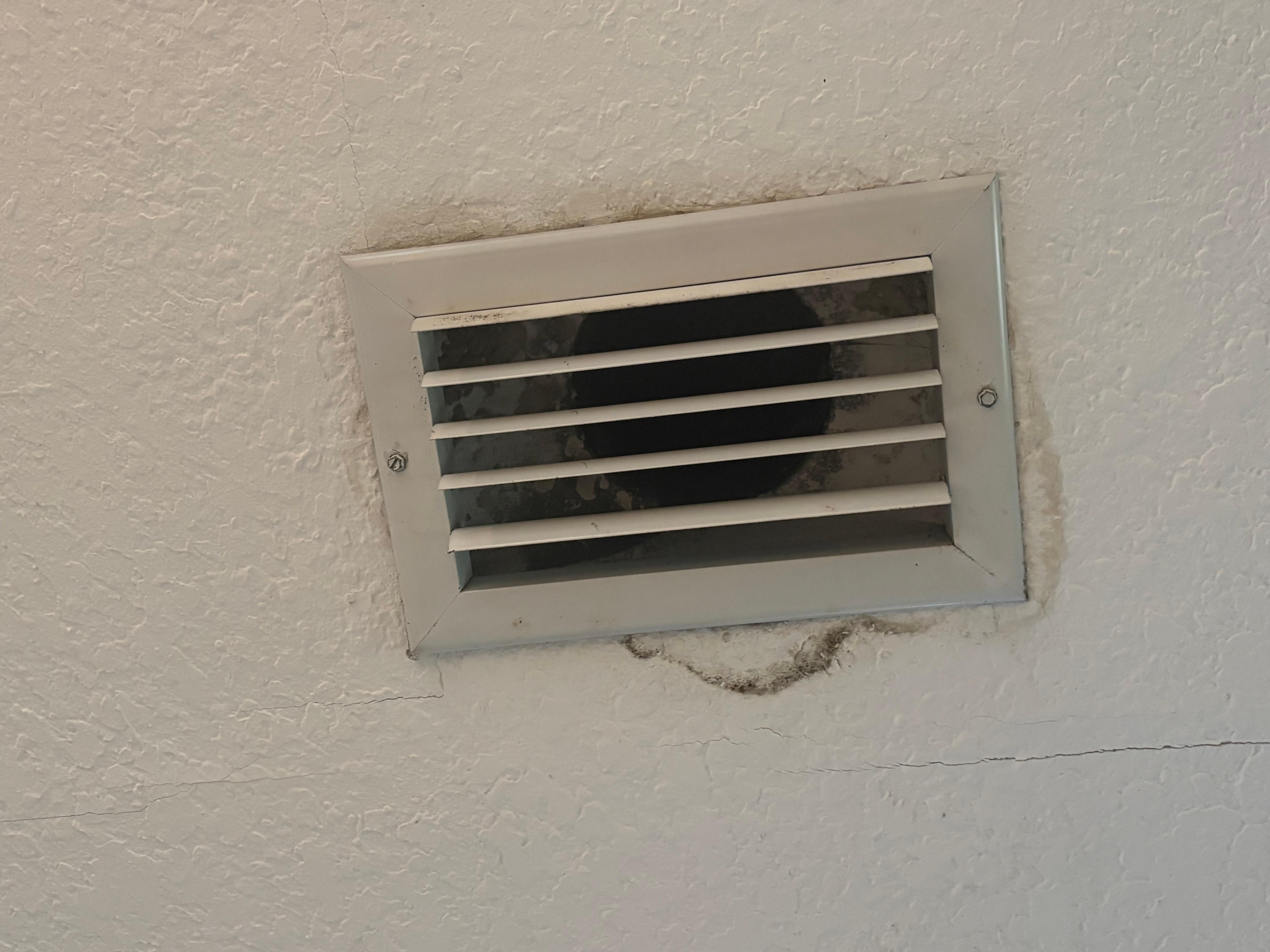Mold in vents