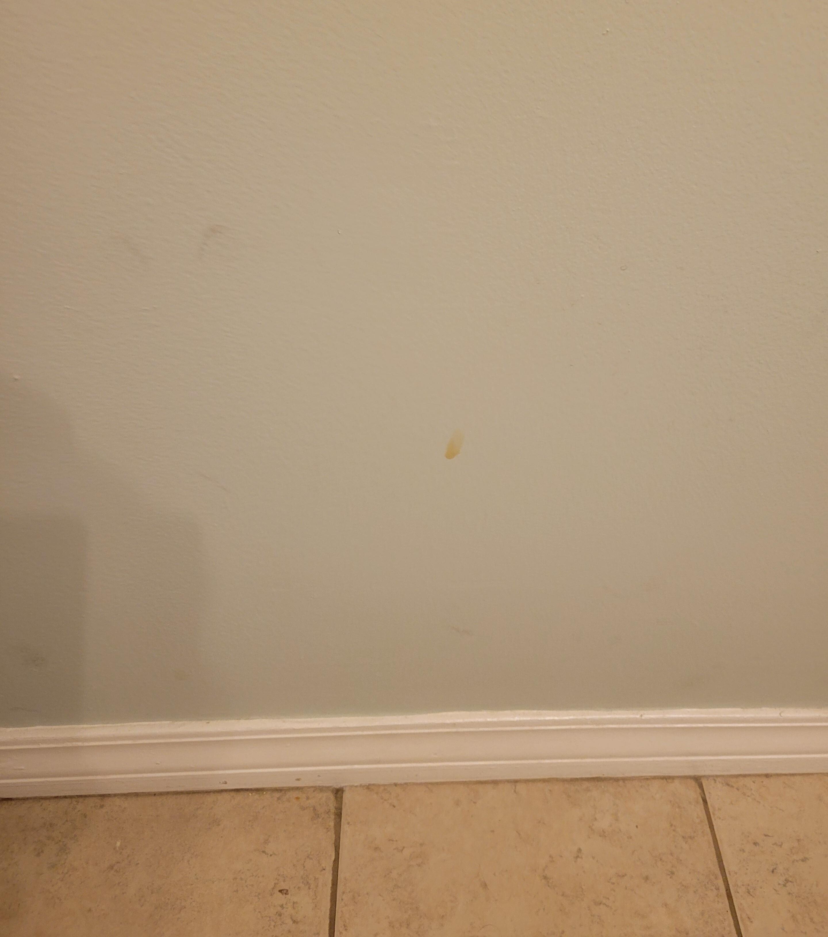 Dirt and dust stuff on walls