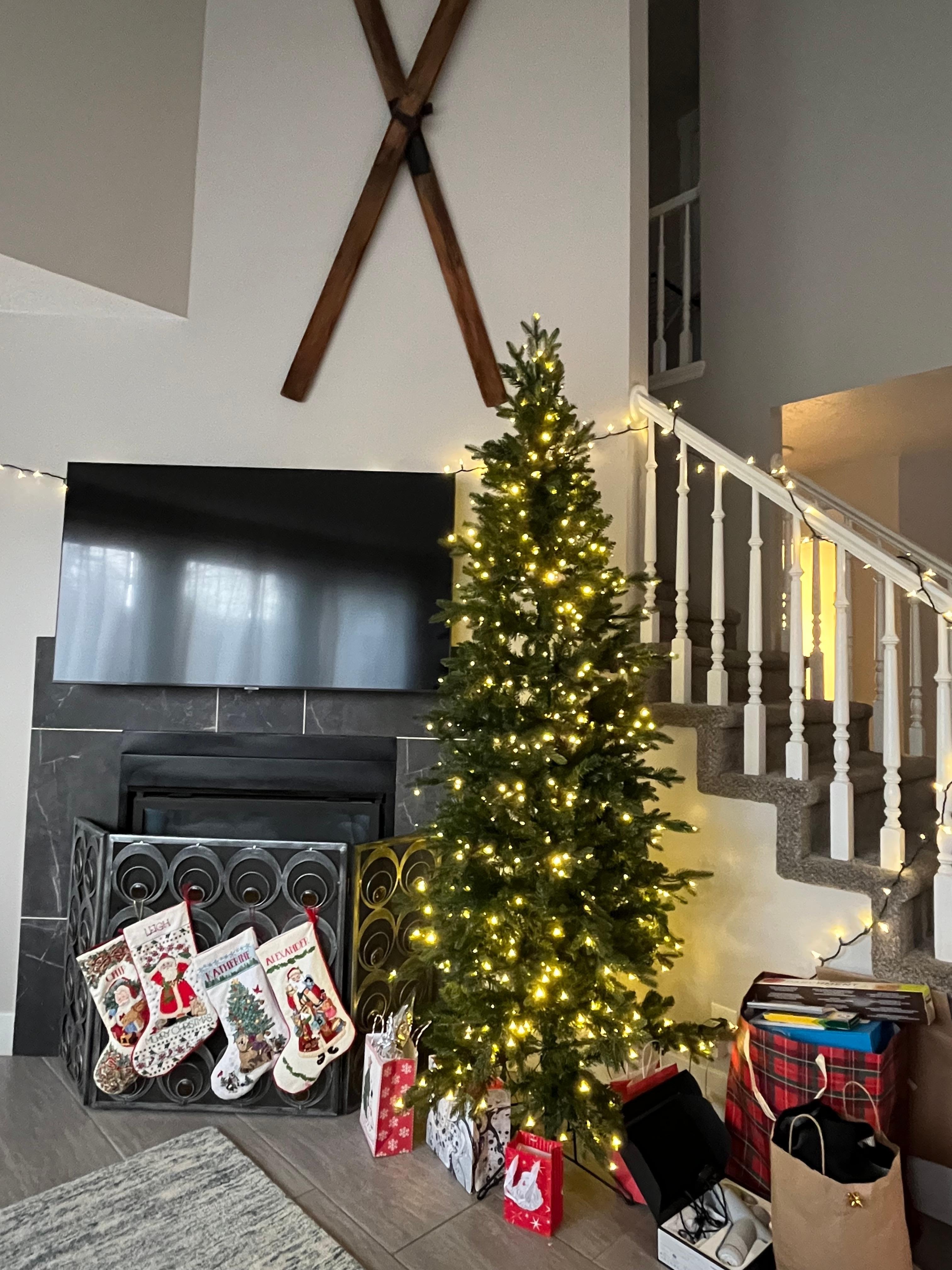 We brought our own Christmas tree.🎄