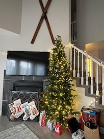 We brought our own Christmas tree.🎄